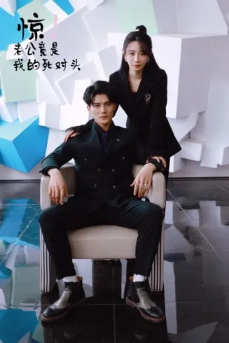 惊！老公竟是我的死对头在线观看