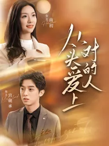 从头爱上对的人在线观看