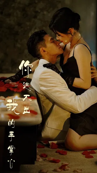 你逃不出我的手掌心在线观看