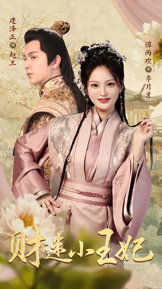 财迷小王妃在线观看