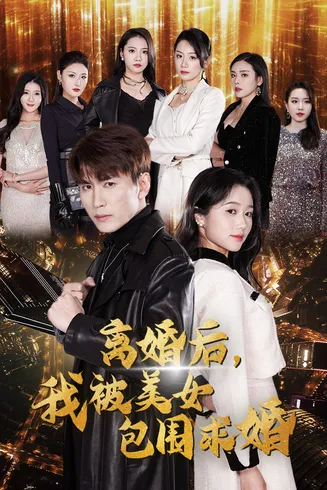 离婚后，我被美女包围求婚在线观看