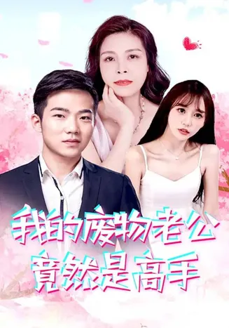 我的废物老公竟然是高手在线观看
