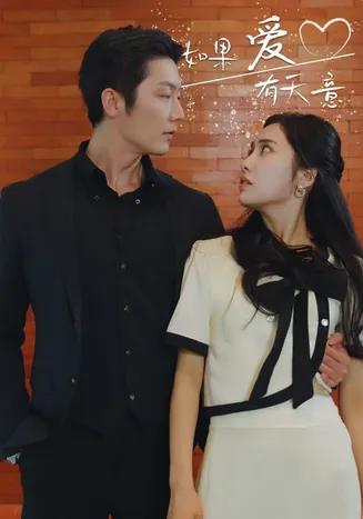 如果爱有天意在线观看
