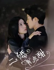 二婚有点甜在线观看