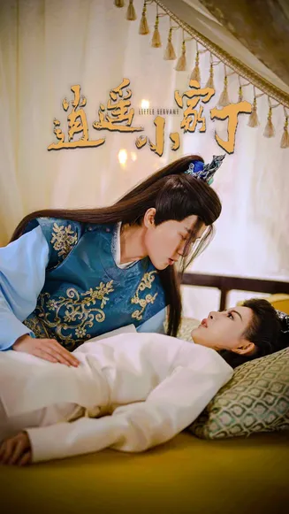 逍遥小家丁在线观看