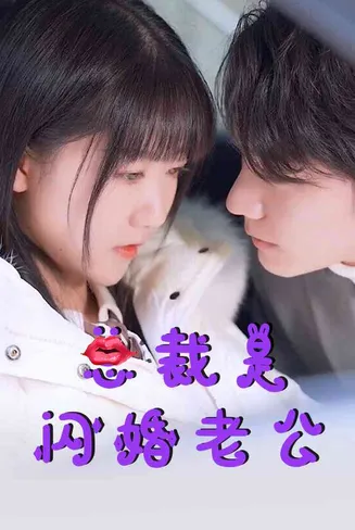 总裁是闪婚老公在线观看