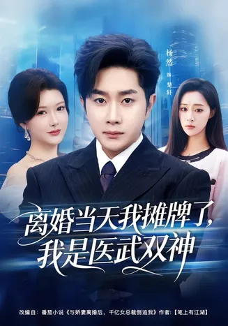 离婚当天我摊牌了,我是医武双神在线观看