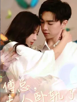 傅总夫人卧轨了在线观看