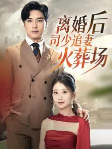 离婚后司少追妻火葬场在线观看
