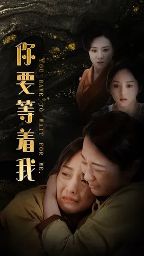 你要等着我在线观看