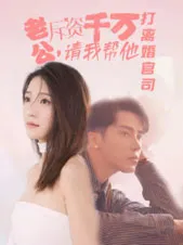 老公拆资千万，请我帮他打离婚官司在线观看