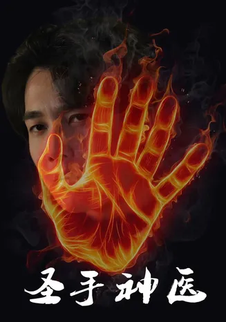 圣手神医在线观看