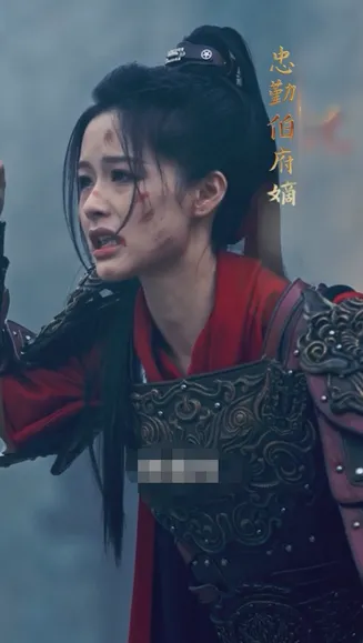 将军夫人不好惹在线观看