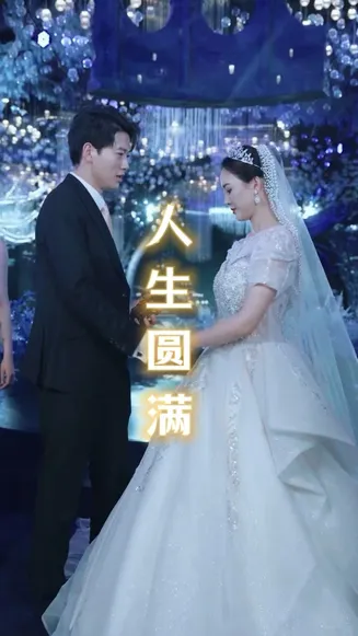 人生圆满在线观看