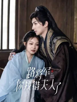 路将军,你找错夫人了在线观看