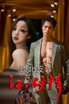 缅北反诈江湖情在线观看