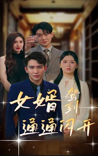 女婿驾到，通通闪开在线观看