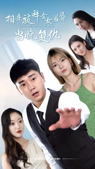 相亲被拜金女羞辱当晚复仇在线观看