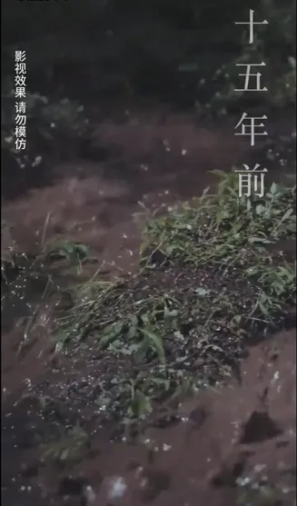 云深见朝阳在线观看