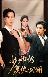 少帅的复仇女佣在线观看
