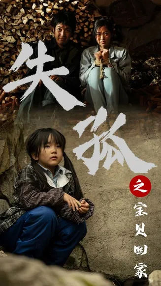 失孤之宝贝回家在线观看