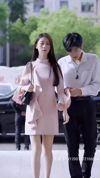 奇门傻婿在线观看