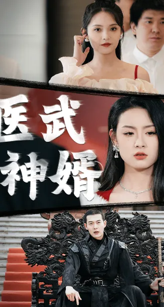 医武神婿在线观看