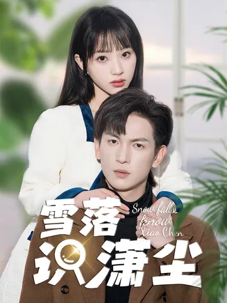 雪落识潇尘在线观看