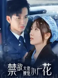 禁欲大佬撩宠小厂花在线观看