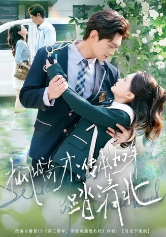枫城奇才：传承加身踏清北在线观看