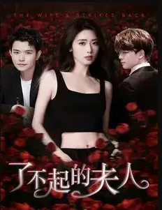 了不起的夫人在线观看