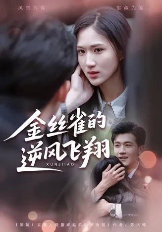 金丝雀的逆风飞翔在线观看