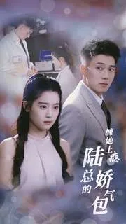 缠她上瘾陆总的娇气包在线观看