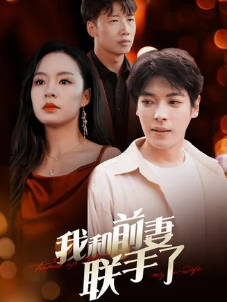 我和前妻联手了在线观看