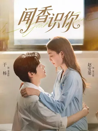 闻香识你在线观看