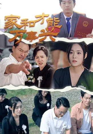 家和才能万事兴在线观看