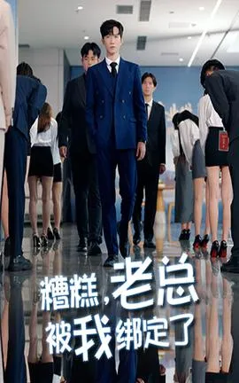 糟糕老总被我绑定了在线观看