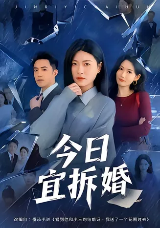 今日宜拆婚在线观看