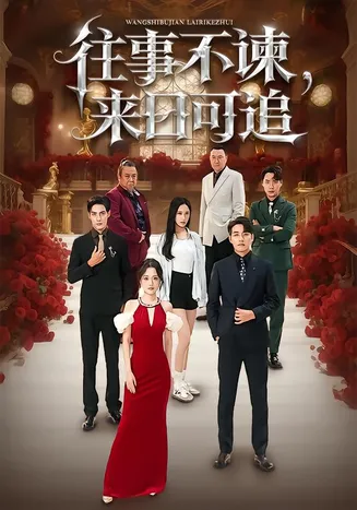 往事不谏，来日可追在线观看