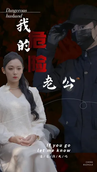 我的危险老公在线观看