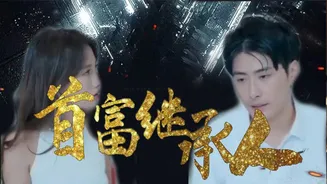 我是首富继承人在线观看