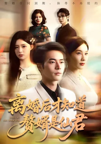 离婚后才知道赘婿是仙君在线观看