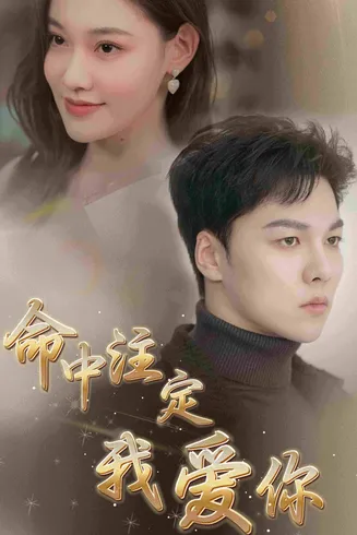 命中注定我爱你 短剧版在线观看