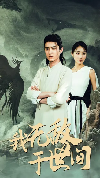 我无敌于世间在线观看