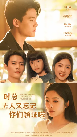 时总,夫人又忘记你们领证啦在线观看
