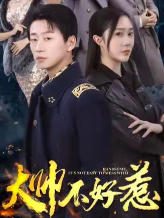 大帅不好惹在线观看