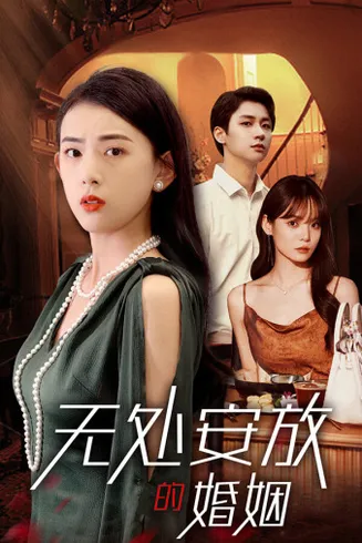 无处安放的婚姻在线观看