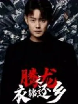 腾龙之衣锦还乡在线观看