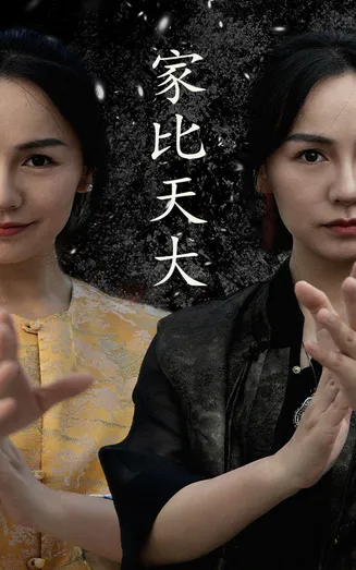 家比天大 短剧版在线观看