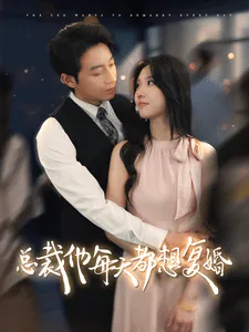 总裁他每天都想复婚在线观看